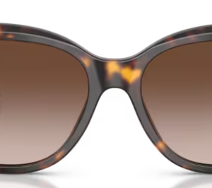Emporio Armani EA4198 Col 5026/13