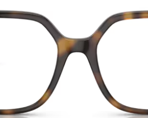 Dolce & Gabbana DG5105U col 502